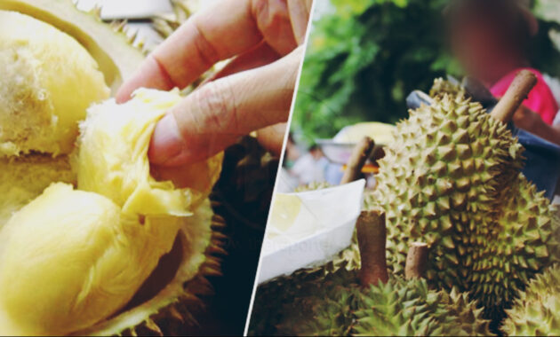 Lelaki m4ut akibat makan durian  Suara Viral Malaysia