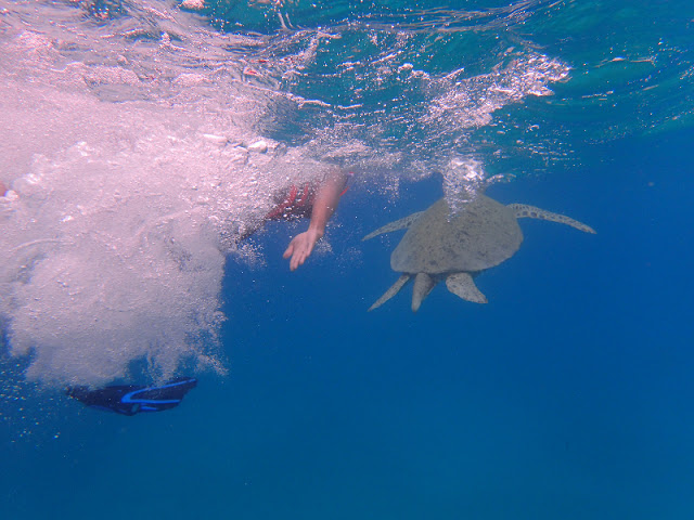 Pulau Perhentian